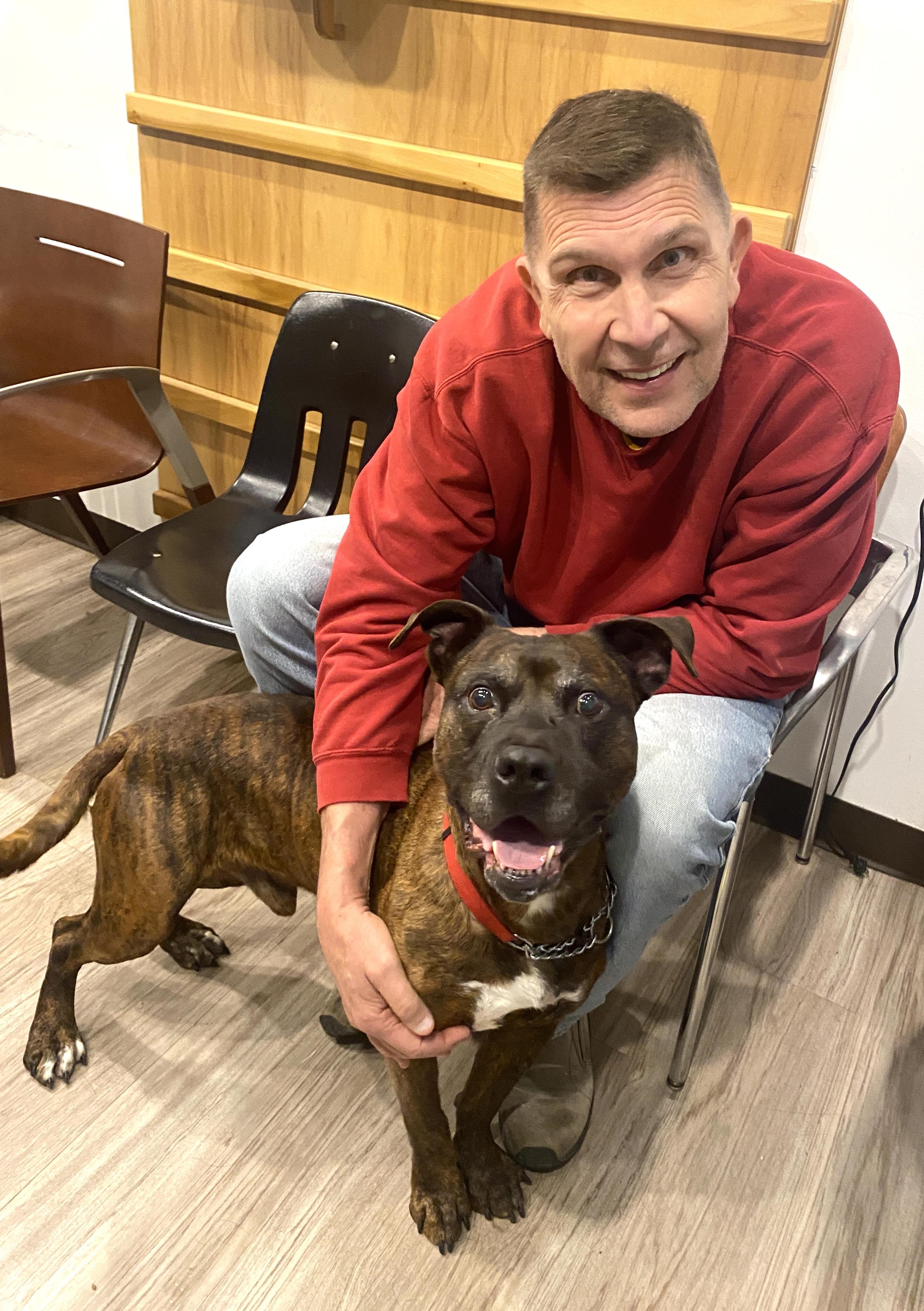 Enlarge Barney Ask to Meet! In Foster!, a Adoptable mixed breed in Elyria, OH image 3/6