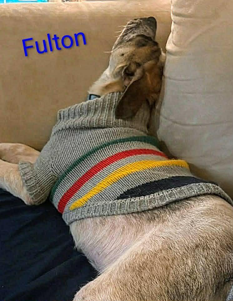 Fulton (20260105-04) — thumbnail 3