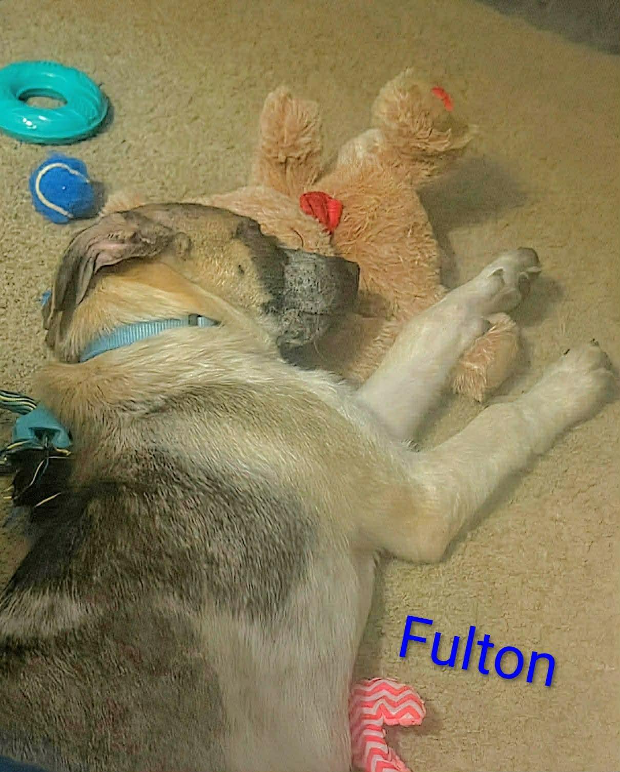 Fulton (20260105-04) — thumbnail 4