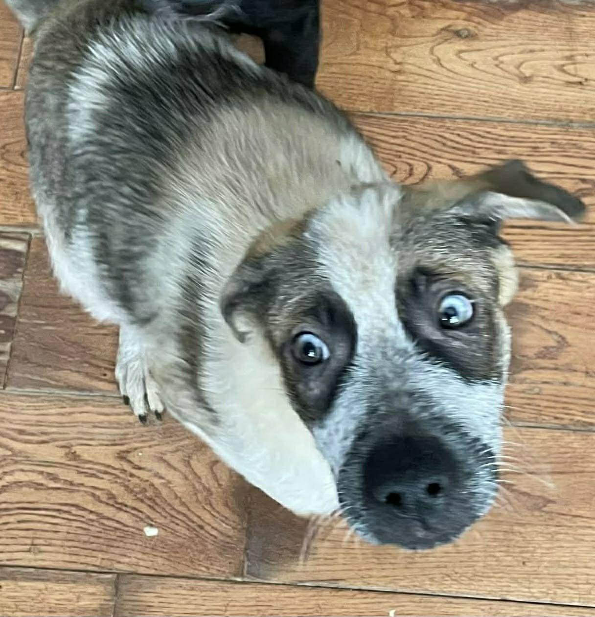 Fulton (20260105-04) — thumbnail 5