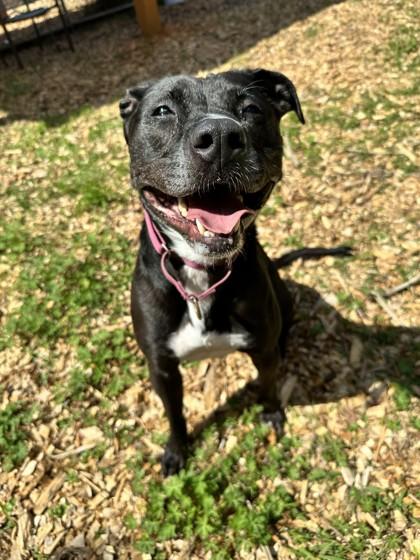 Berta — thumbnail 2