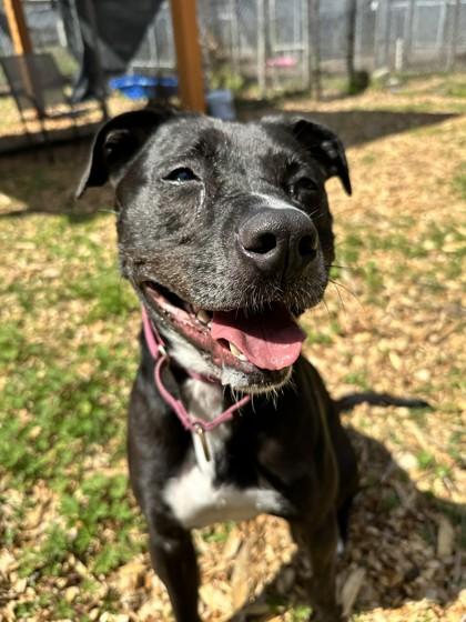 Berta — thumbnail 3