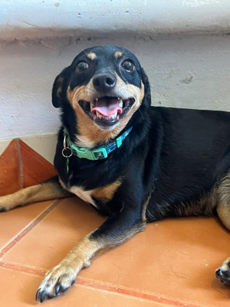 Panchita — thumbnail 2