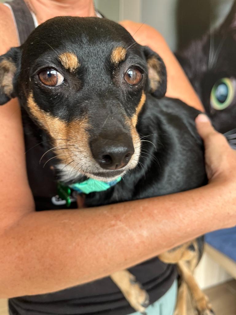 Panchita — thumbnail 3