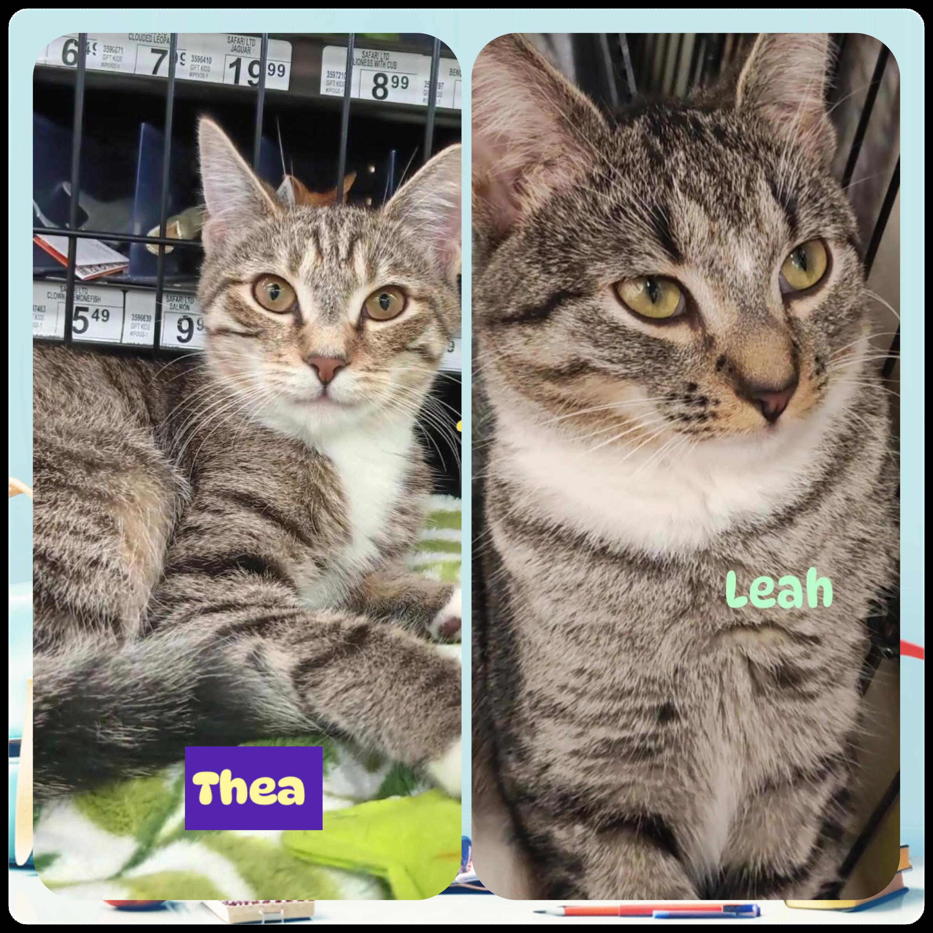 Leah & Thea