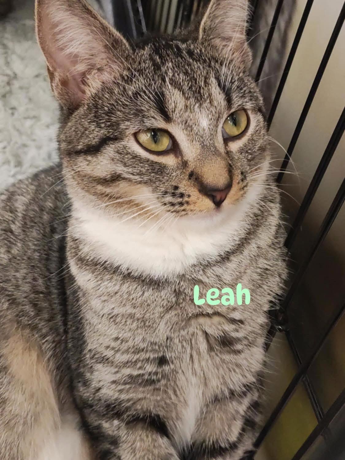 Leah & Thea