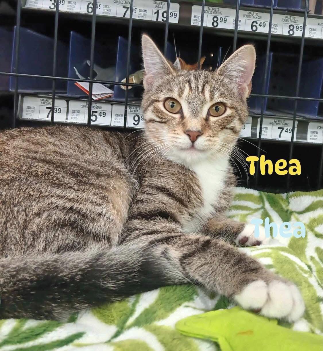 Leah & Thea