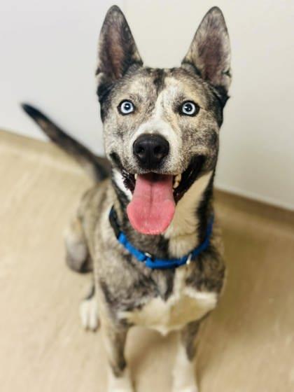 Christian (Malibu) — thumbnail 2