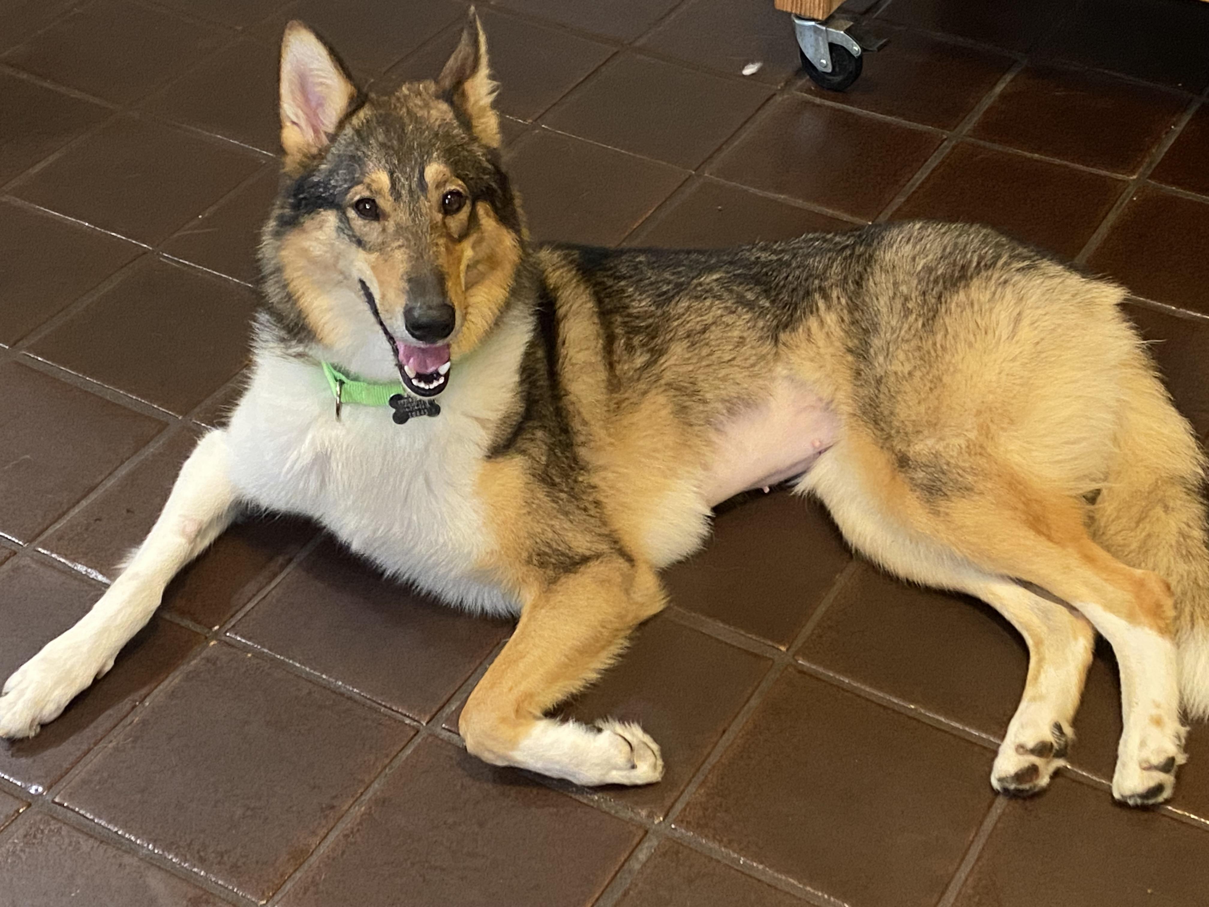 Valentina thumbnail 3