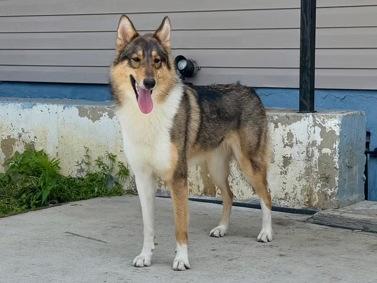 Valentina thumbnail 6