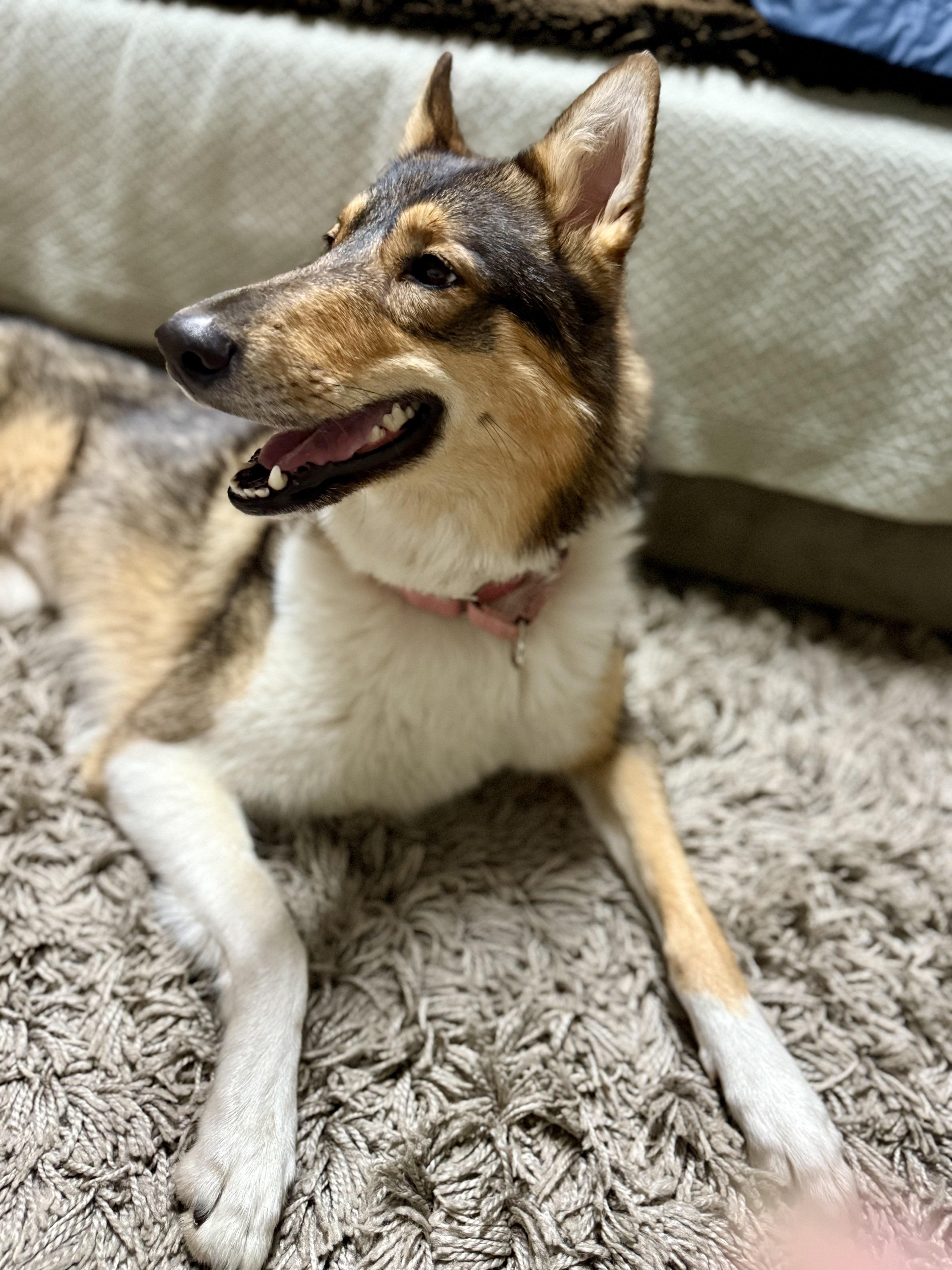 Valentina thumbnail 4