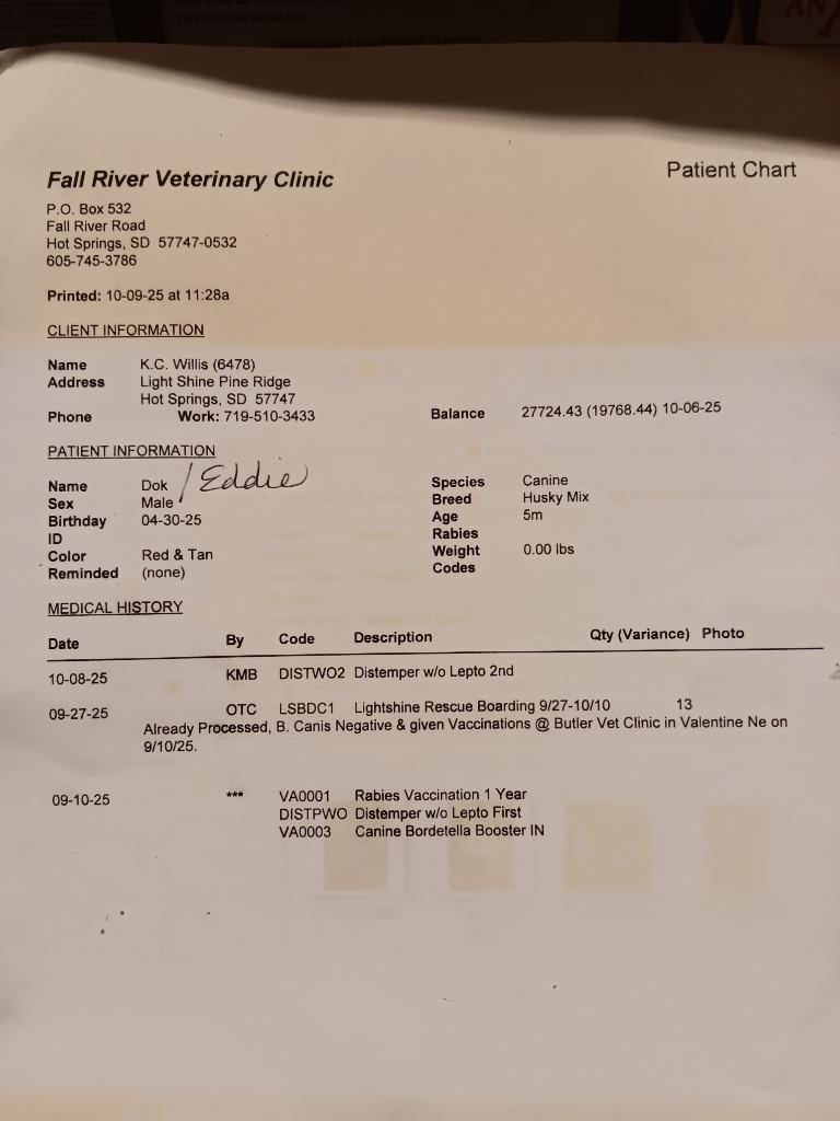 Eddie, a Adoptable mixed breed in Saint James, MN image 2/6