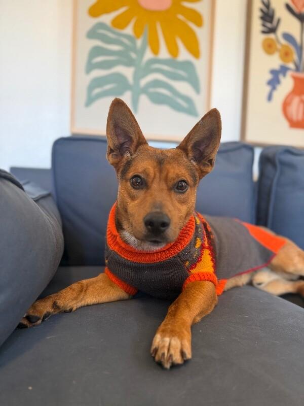 Prince Harry Royalty — thumbnail 3