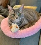 Jill 05-4146 — thumbnail 2