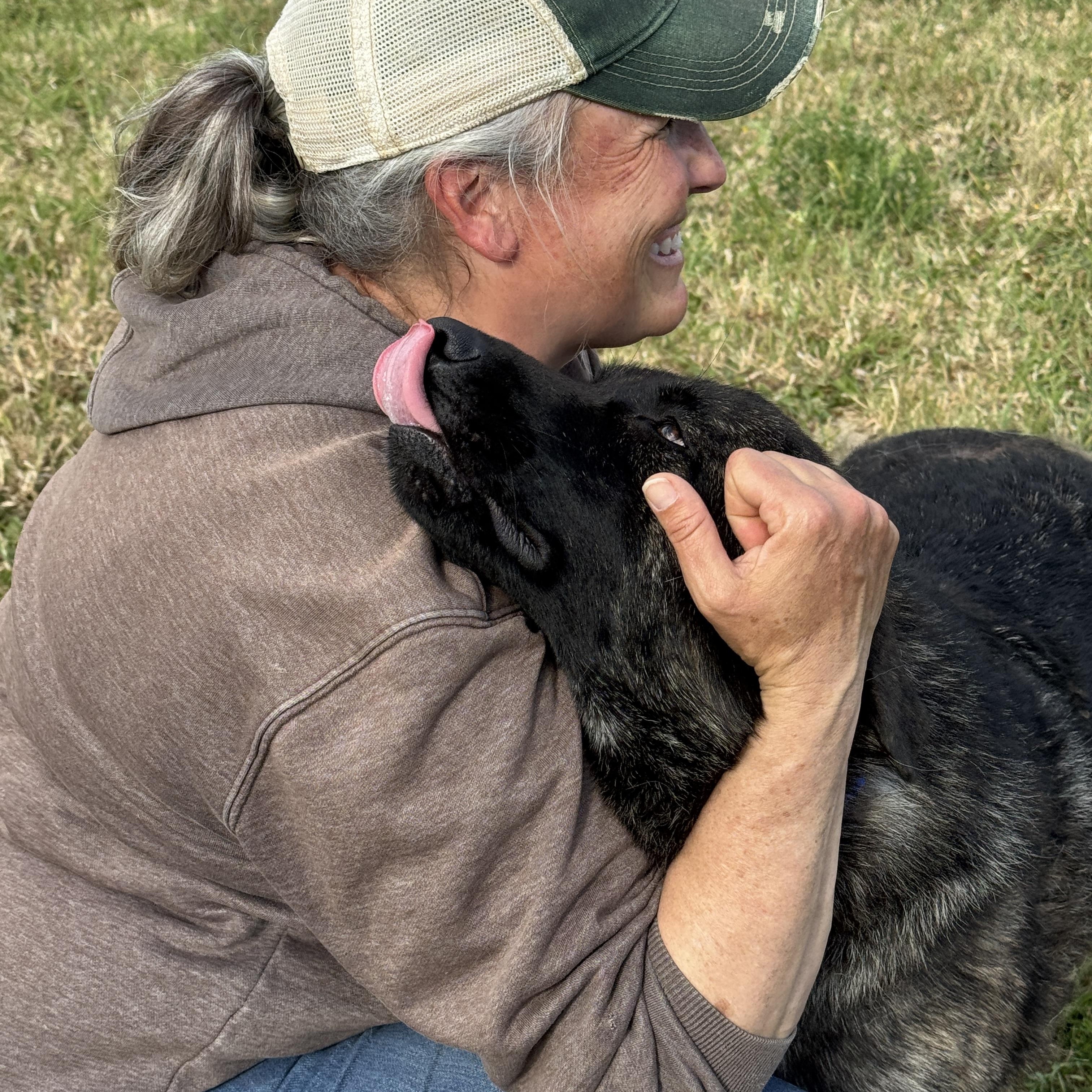 James, a Adoptable mixed breed in Port Angeles, WA image 4/6