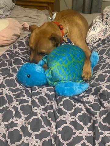 *Courtesy Posting* Kobe