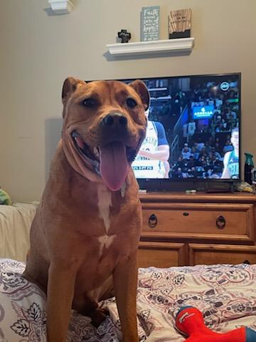 *Courtesy Posting* Kobe