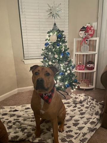 *Courtesy Posting* Kobe