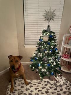 *Courtesy Posting* Kobe