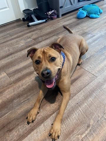 *Courtesy Posting* Kobe