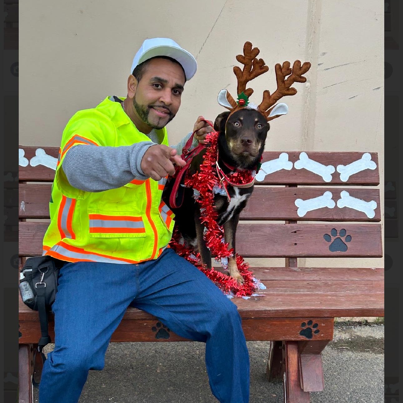 Enlarge Gravy 0124, a Adoptable mixed breed in Sonora, CA image 2/6