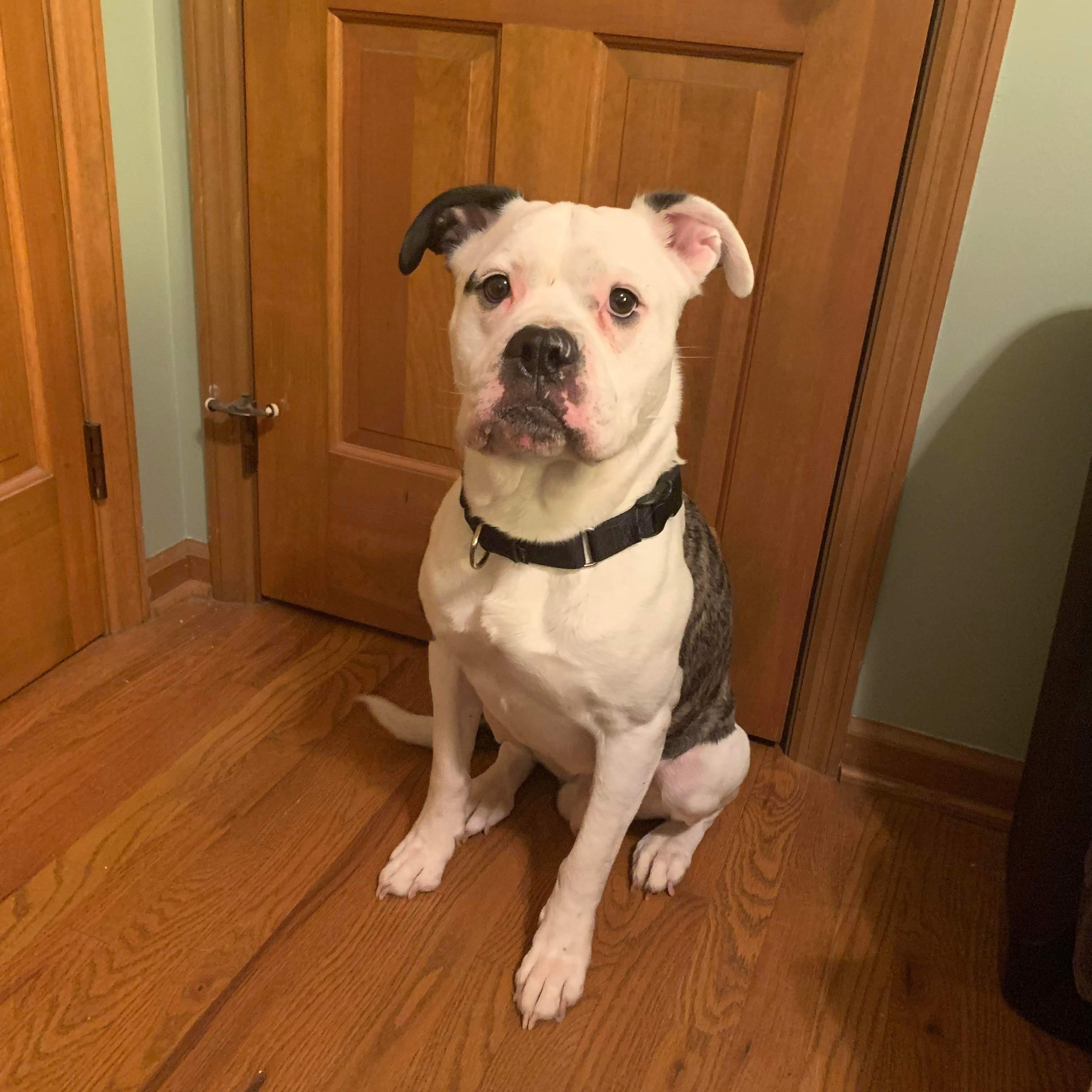 Griswold thumbnail 2