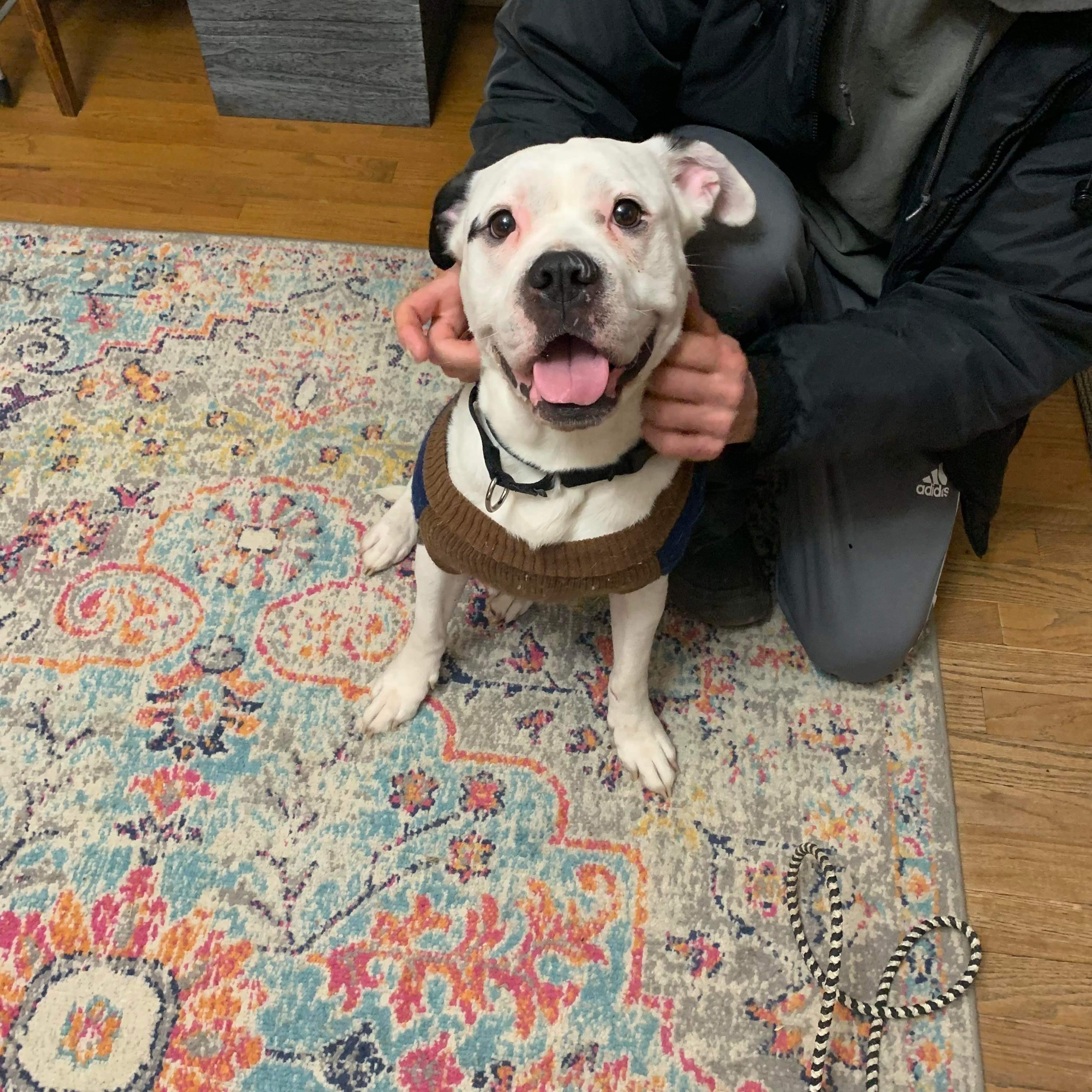 Griswold thumbnail 3