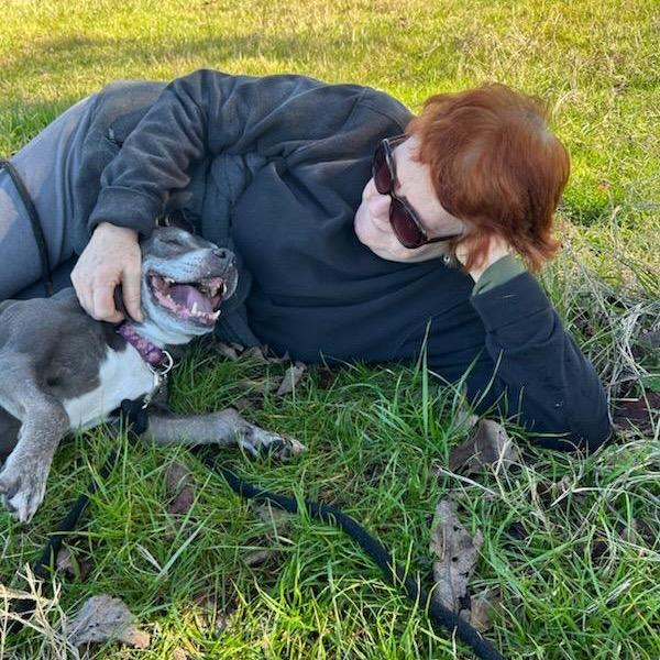 Enlarge Scout, a Adoptable mixed breed in Peachtree City, GA image 5/6