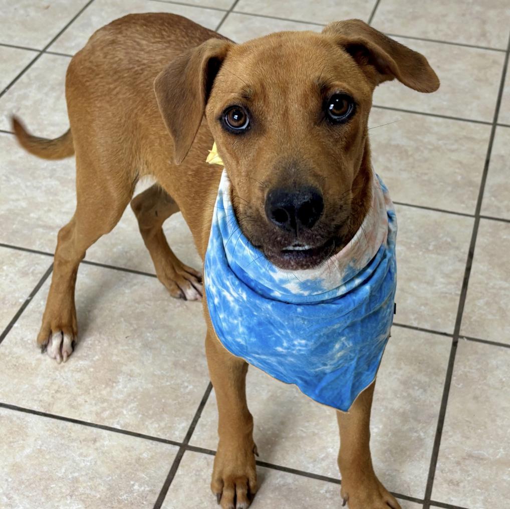 Robin Williams thumbnail 2