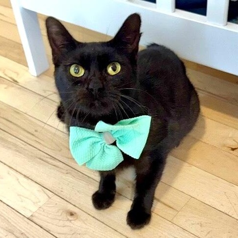 Alexa Daniel — thumbnail 2