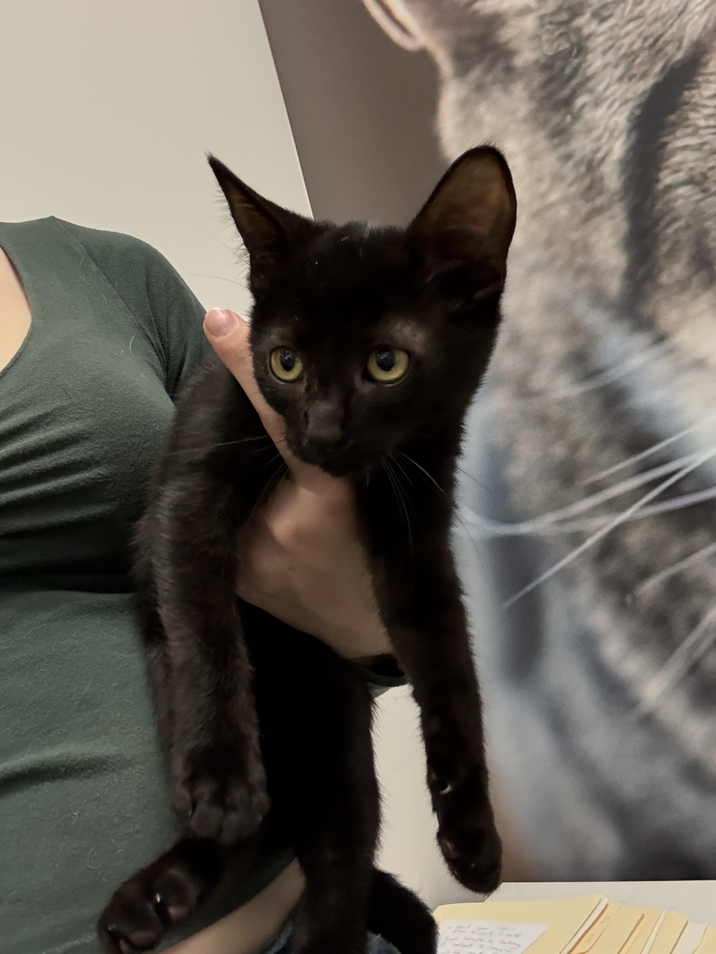 Onyx