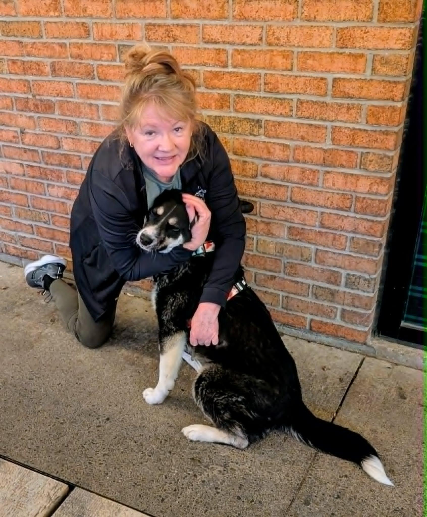 Enlarge Ella, a ADOPTABLE mixed breed in St Catharines, ON image 3/6