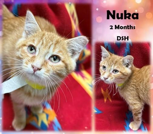 Nuka