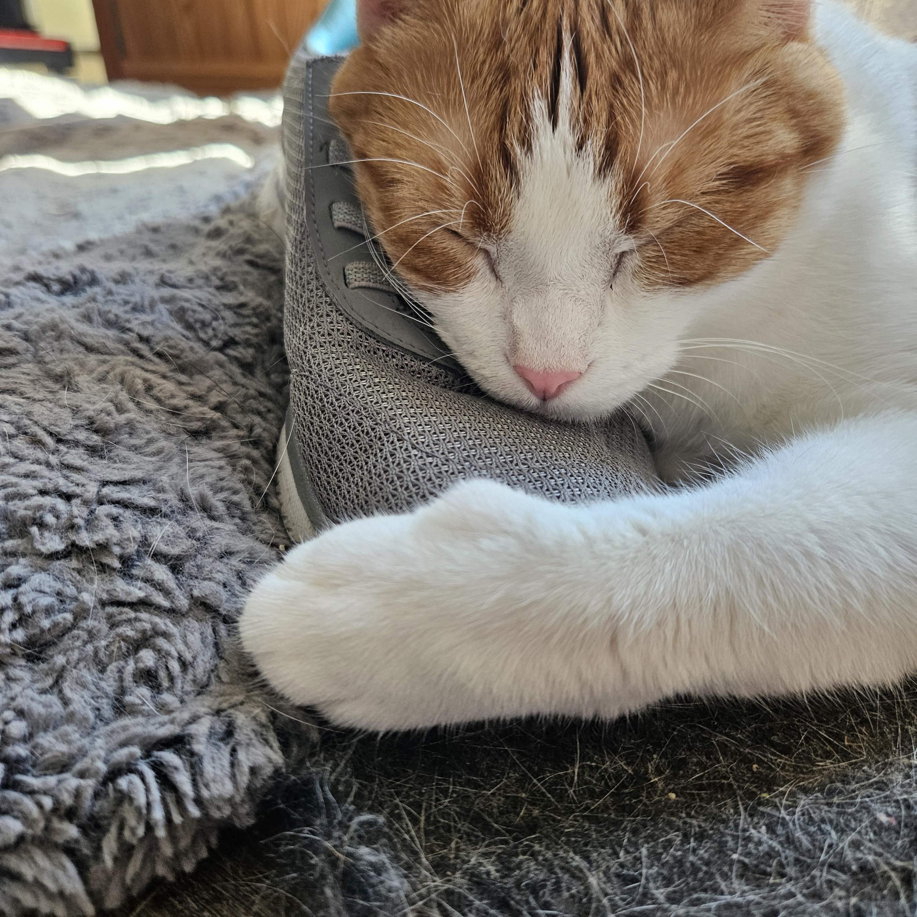 Butterscotch, Nougat & Oreo