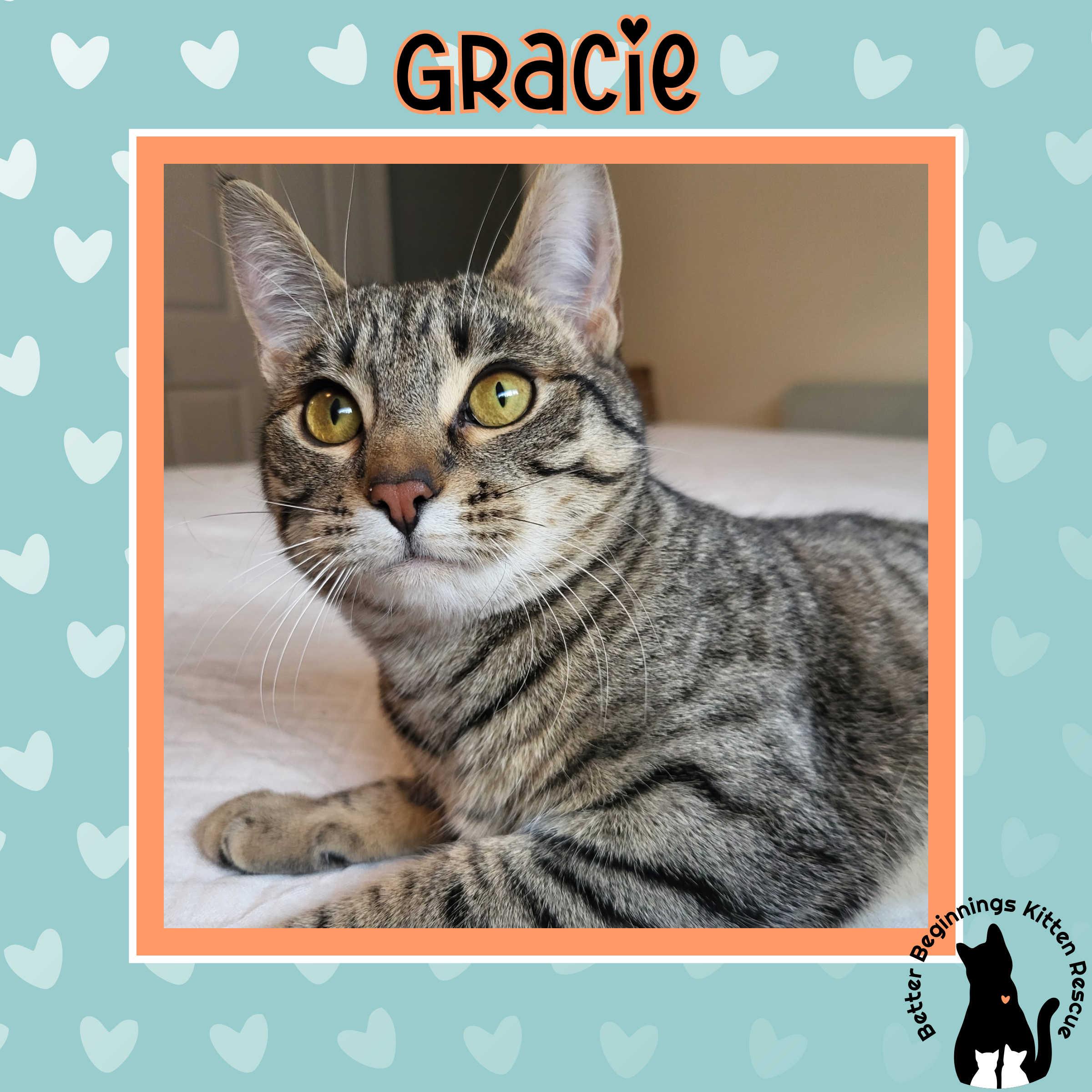 Enlarge Gracie, a Adoptable mixed breed in Kamloops, BC image 4/5