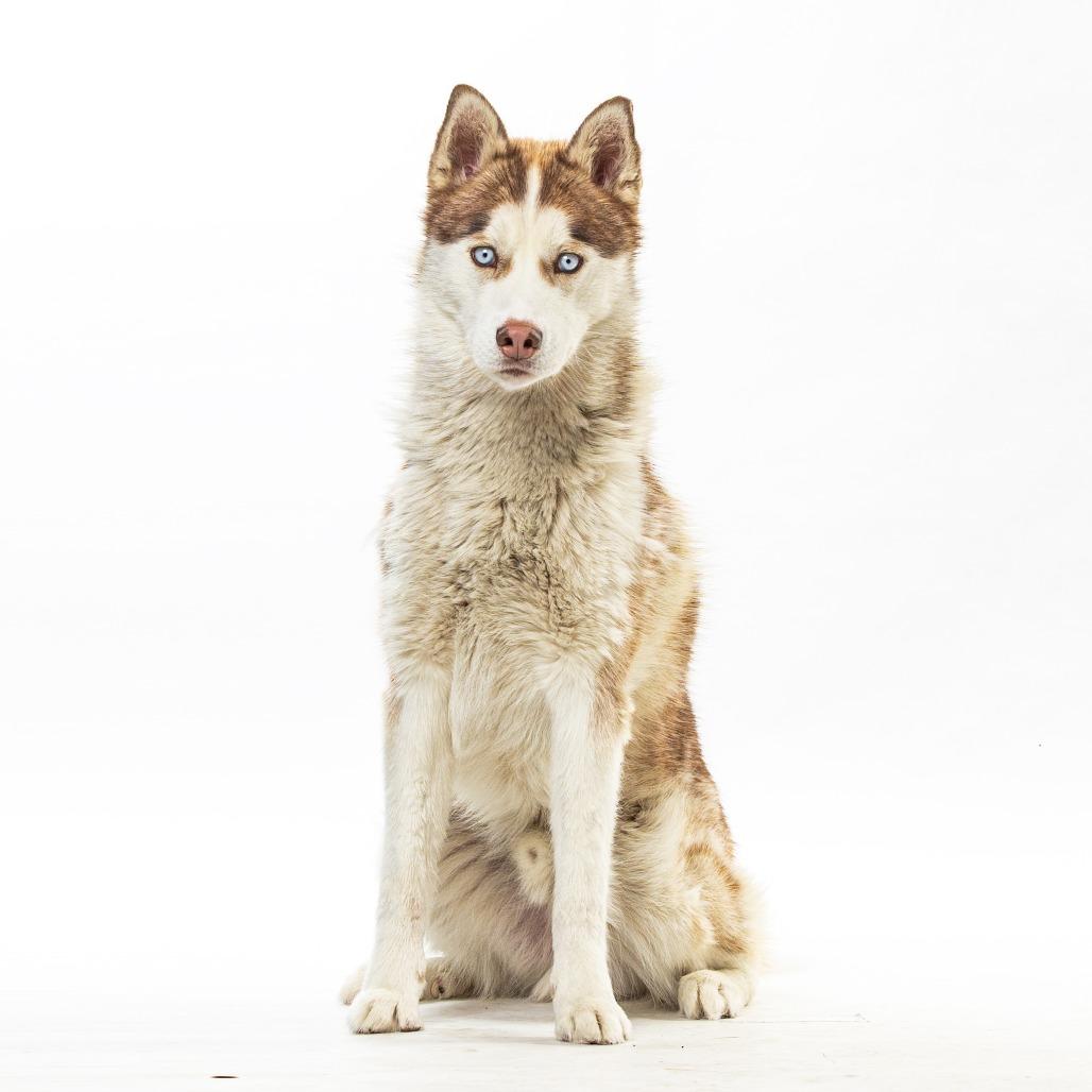 Mater — thumbnail 2