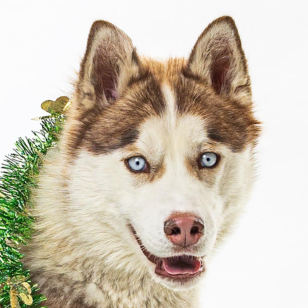 Mater — thumbnail 3