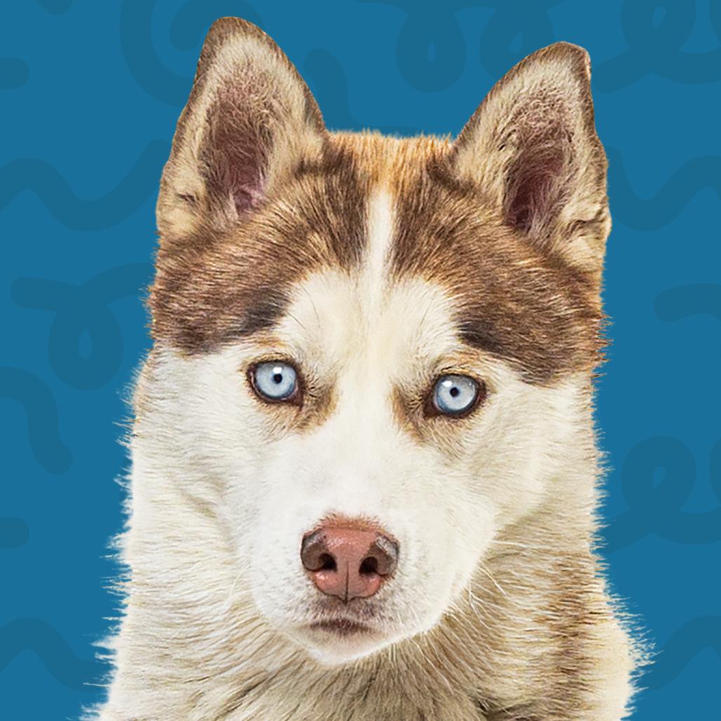 Mater — thumbnail 4