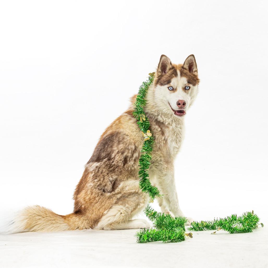 Mater — thumbnail 5