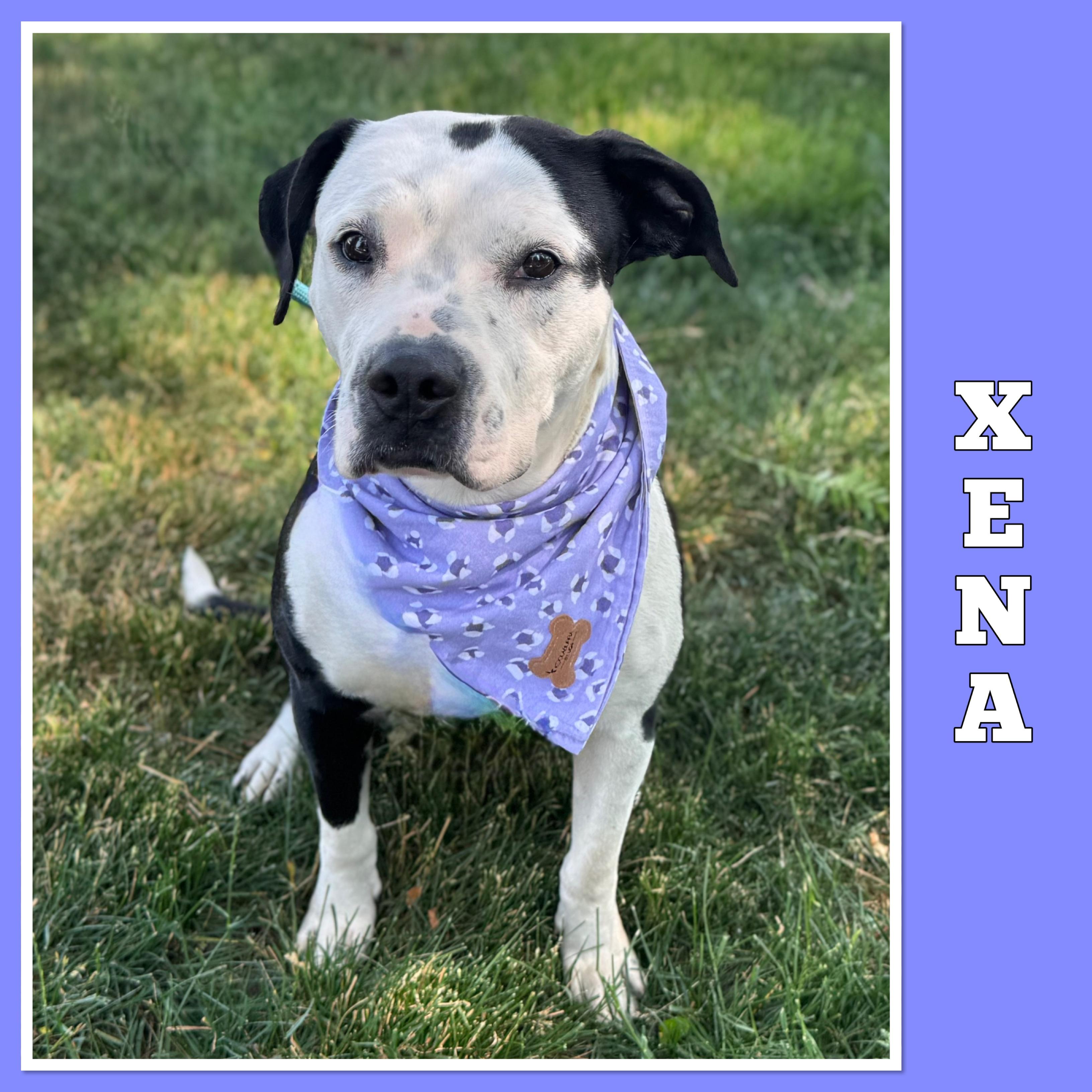 Xena photo 3