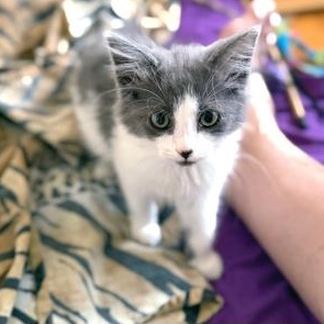 Nancy Cratchit thumbnail 2