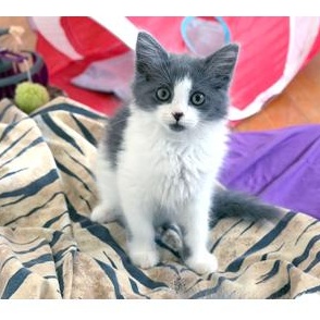 Nancy Cratchit thumbnail 3