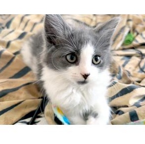 Nancy Cratchit thumbnail 5