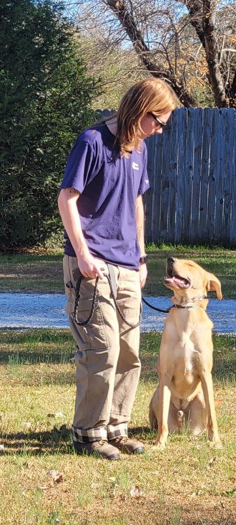 Bourbon, a Adoptable mixed breed in Lovingston, VA image 3/3