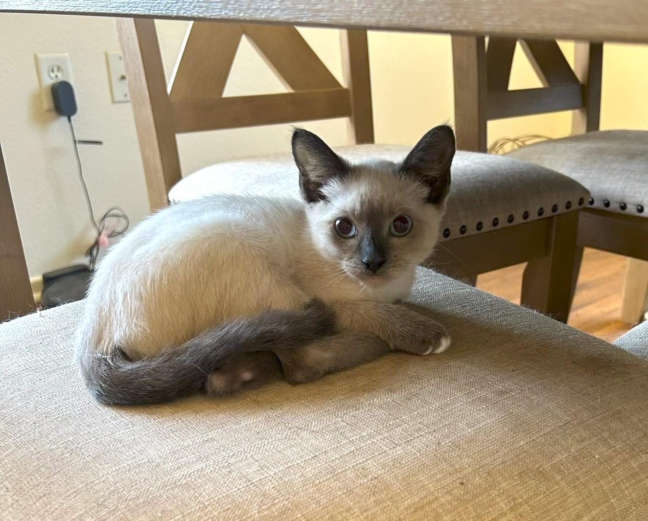 Kai