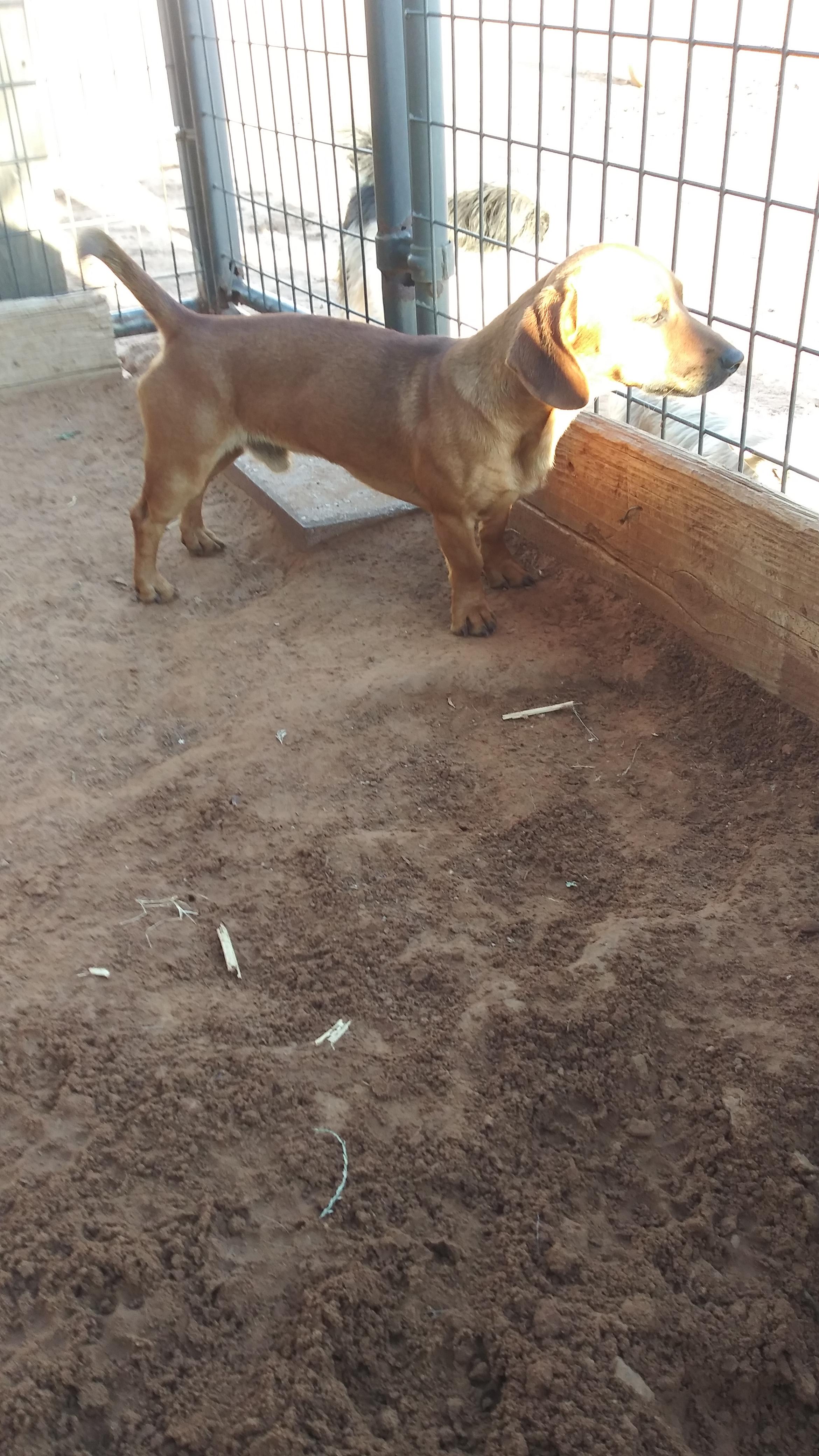 Abner