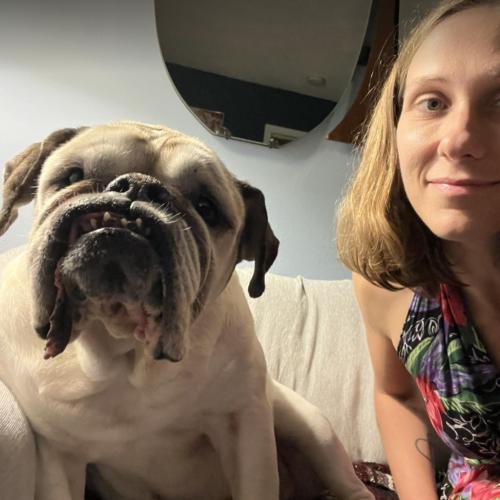Isabel, a Adoptable English Bulldog in Austin, TX image 3/5