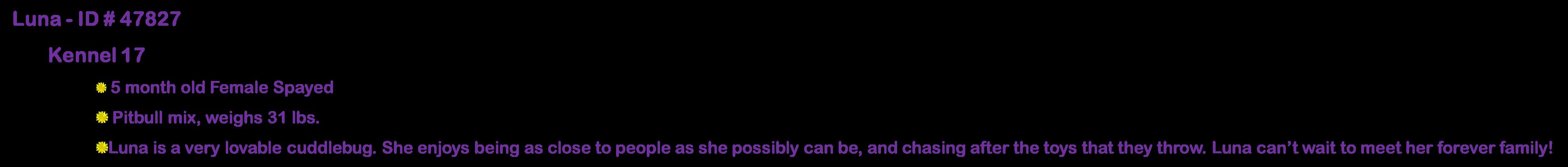 Enlarge Bonnie, a ADOPTABLE Siberian Husky in Suffolk, VA image 2/3