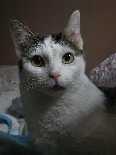 Baby — thumbnail 4