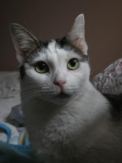 Baby — thumbnail 6